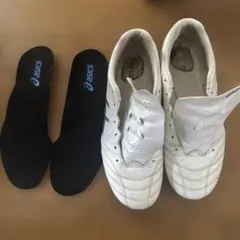 asics DS LIGHT ADVANCE 25.5