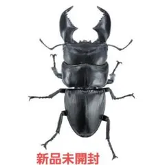 スマトラオオヒラタクワガタ　極太　アニマリエコレクション　新品未開封
