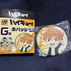 新品　ハイキュー!! 日向翔陽 缶バッジ