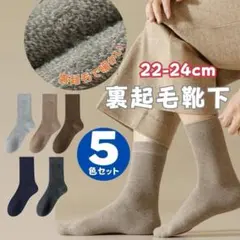 靴下 裏起毛 暖かい 5色セット ベーシックカラー ソックス 男性用