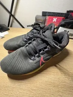 zoomペガサス38
