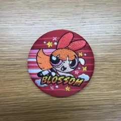 パワーパフガールズ ブロッサム 刺繍缶バッジ