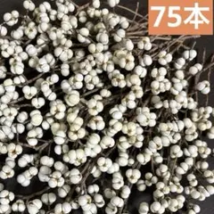 purple★様 リクエスト 2点 まとめ商品