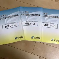 合格値下げ❕ほぼ無記入☆　【最新版】浜学園　日曜志望校別特訓セット4教科 合格値下げ❕ほぼ無記入☆ 【最新版】浜学園 日曜志望校別特訓セット
