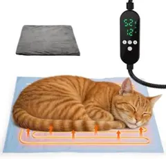 Item thumbnail for item 5a1f86fa-961c-457c-b3e4-13085fd77199