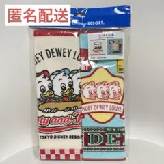 ディズニー　ヒューイ　デューイ　ルーイ　ミニタオルセット　2枚