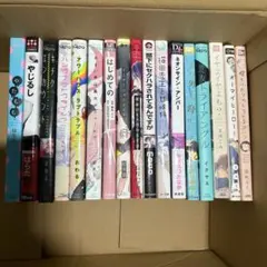 BL漫画 17冊 セット まとめ売り