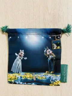東京ディズニーリゾート　イマジニングザマジック　巾着　ミッキーマウス　実写