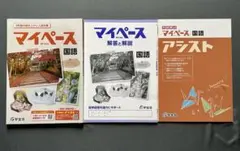 2025年度版　マイペース 国語 学宝社 3年間の総仕上げ 高校入試のサムネイル