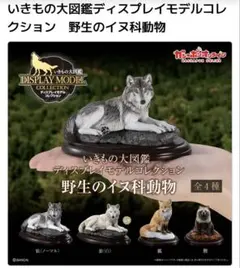 Item thumbnail for item 1cc7715b-1fb7-403e-8e1c-ac7e55501c8c