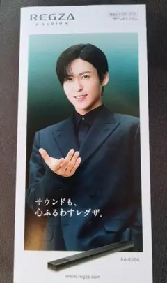 目黒蓮 レグザ サウンドシステム リーフレット REGZA　フライヤー　チラシ
