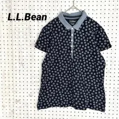 Item thumbnail for item ed6367d1-fc6b-48b2-80a7-a2406145ce45