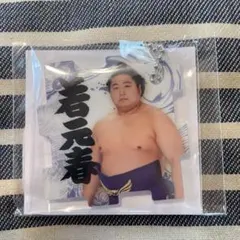 【若元春】つながるパズルキーホルダー