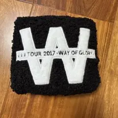 AAA カイロポーチ way of glory トリプルエー