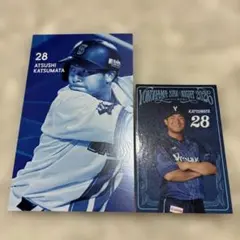 横浜DeNAベイスターズ/プロデュースグルメ2026勝又温史
