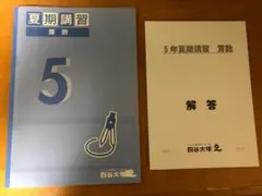 予習シリーズ　小５年　算数　夏期講習　四谷大塚