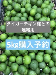タイガーチキン様連絡用ページ】 徳島産ハウスすだち 訳あり5㎏ - メルカリ