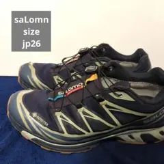 Item thumbnail for item 8dc70b6c-312b-4ac2-99da-23a9f2bf10e7