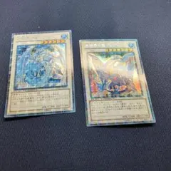 遊戯王 氷結界の龍ブリューナク DTCシークレット dtシク - メルカリ