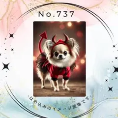 フェネック様 リクエスト 6点 まとめ商品