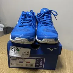 Item thumbnail for item 2d8e01c4-e640-4754-98e3-39ac9e0a4b09