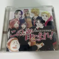 非売品 AKB48 飛翔入手 プライングゲット カスペルスキー 峯岸みなみ
