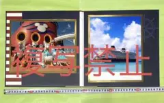 ディズニークルーズライン　スペシャルフォト 写真　フォトフレーム　スペフォ　新品