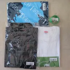 Item thumbnail for item 320f7cdc-8ccc-4c35-b090-a1f0ce2dddaf