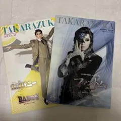 仲村トオル 新宿純愛物語パンフレット＋下敷き - メルカリ