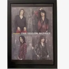 (A4額付) THE YELLOW MONKEY ⑤イエモン　タワレコ切り抜き