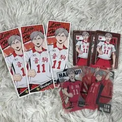 ハイキュー!!灰羽リエーフセット