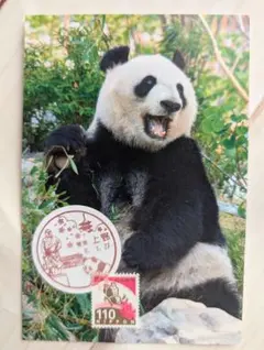 Item thumbnail for item ffac1859-4e53-4627-8e75-44166c1072b4