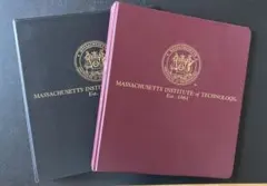 Item thumbnail for item f564b46a-abe9-4fd1-89b8-a13b65b448af