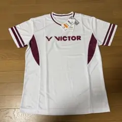 Item thumbnail for item 8b83382d-1e05-4582-b9de-7a19f380ac85