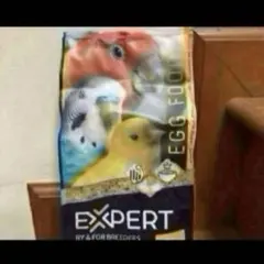 Item thumbnail for item d3d8e1db-322f-469a-873a-897c4d6f582d