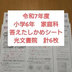 小学6年 カラーテスト 答えたしかめシート 家庭科 開隆堂 光文書院 6枚のサムネイル