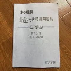 2026年最新】浜学園 小6 最高レベル特訓 テキストの人気アイテム