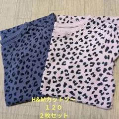 H&M ヒョウ柄 Tシャツ 2枚セット