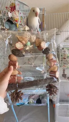 Item thumbnail for item b91bc980-6285-44bd-bd03-956cb7df83fc