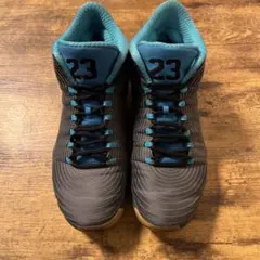 NIKE JORDAN 29