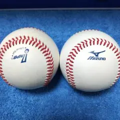 Item thumbnail for item e954fdb9-af3c-491f-a4b6-68724840729b