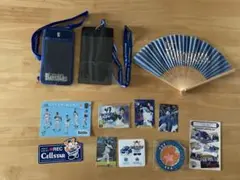 横浜DeNAベイスターズ チケットホルダー2個＋おまけ