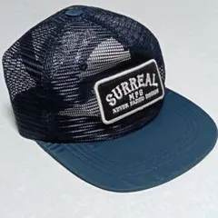 Item thumbnail for item 74e18cde-3a6b-4f0d-a972-38280a23eaa5