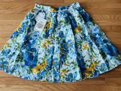 Item thumbnail for item 50210948-f0b0-45f4-9e89-b2f2801ec319