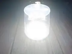 Item thumbnail for item b468ff0e-ccd5-477b-89ab-d21af45d960b