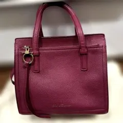 【極美品】フェラガモ エイミー ガンチーニ カーフ 2ウェイショルダー バッグ