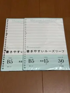 Item thumbnail for item 4233a2c8-1a30-4d19-8d77-ba0137b190a3