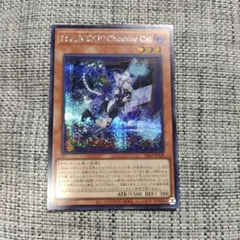 マリスポーンチェシャキャット　シク　ロゴ入り　匿名配送 マリスポーンチェシャキャット ロゴ ウルトラ - メルカリ