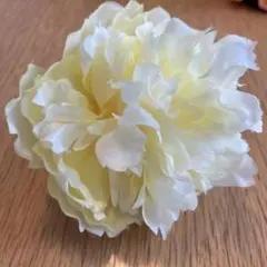 Item thumbnail for item 2c973cac-0458-4e4b-8dea-eb7aab499bb8