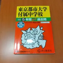 Item thumbnail for item c8f2440f-a0d2-410b-90eb-5b9198da84ed